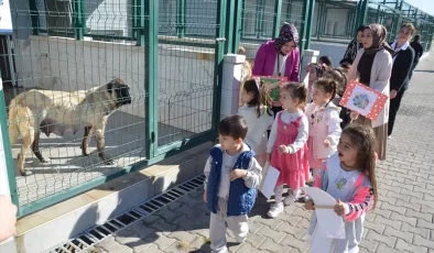 Öğrenciler Dünya Hayvanları Koruma Günü’nde Sokak Hayvanları Merkezini Ziyaret Etti