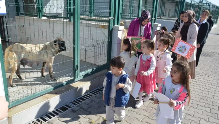 Öğrenciler Dünya Hayvanları Koruma Günü’nde Sokak Hayvanları Merkezini Ziyaret Etti